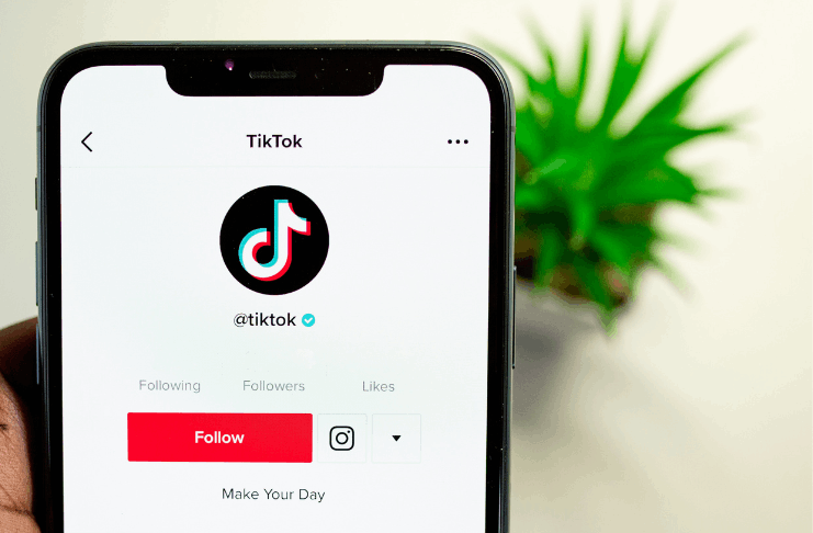 Erfahren Sie, wie Sie ganz einfach TikTok-Videos kostenlos herunterladen können